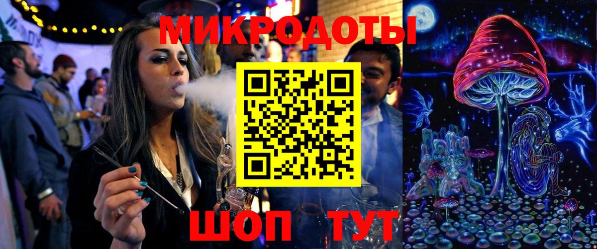 Псилоцибиновые грибы Psilocybe Череповец